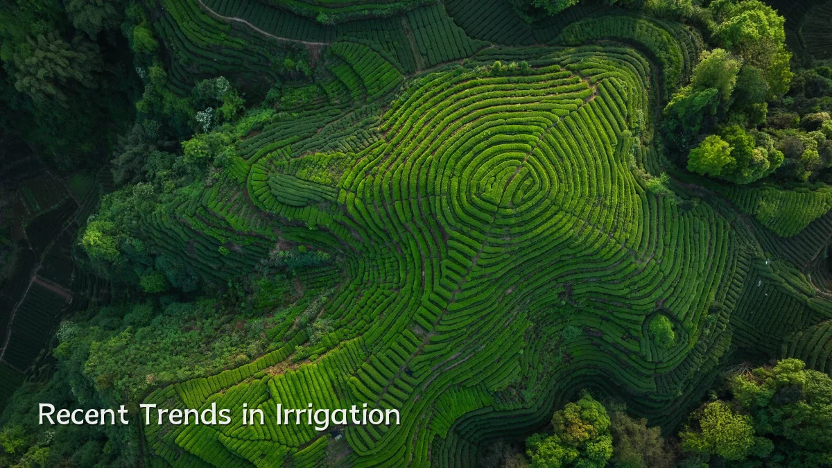 Recent Trends in Irrigation