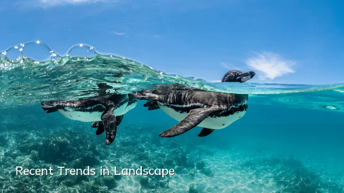 Recent Trends in Landscape