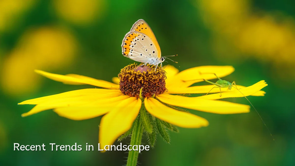 Recent Trends in Landscape