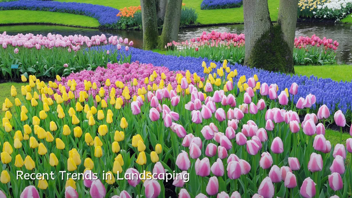 Recent Trends in Landscaping