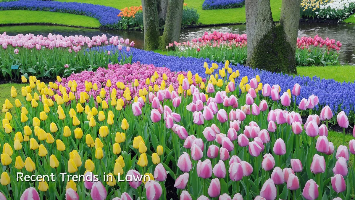 Recent Trends in Lawn