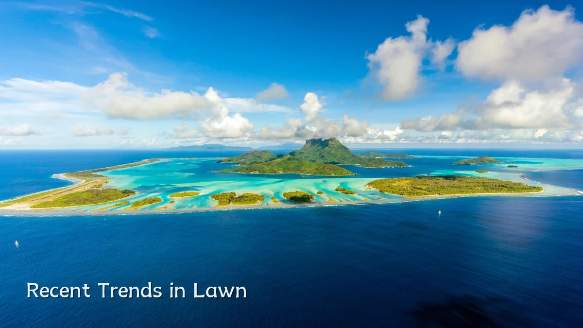 Recent Trends in Lawn