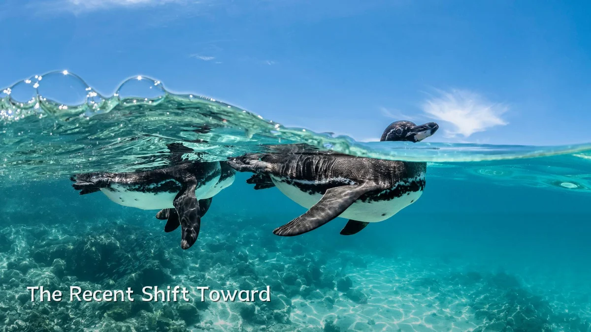 The Recent Shift Toward