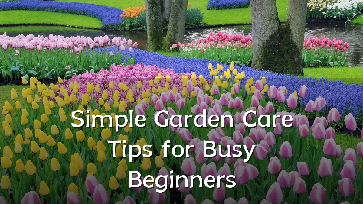Simple Garden Care Tips for Busy Beginners