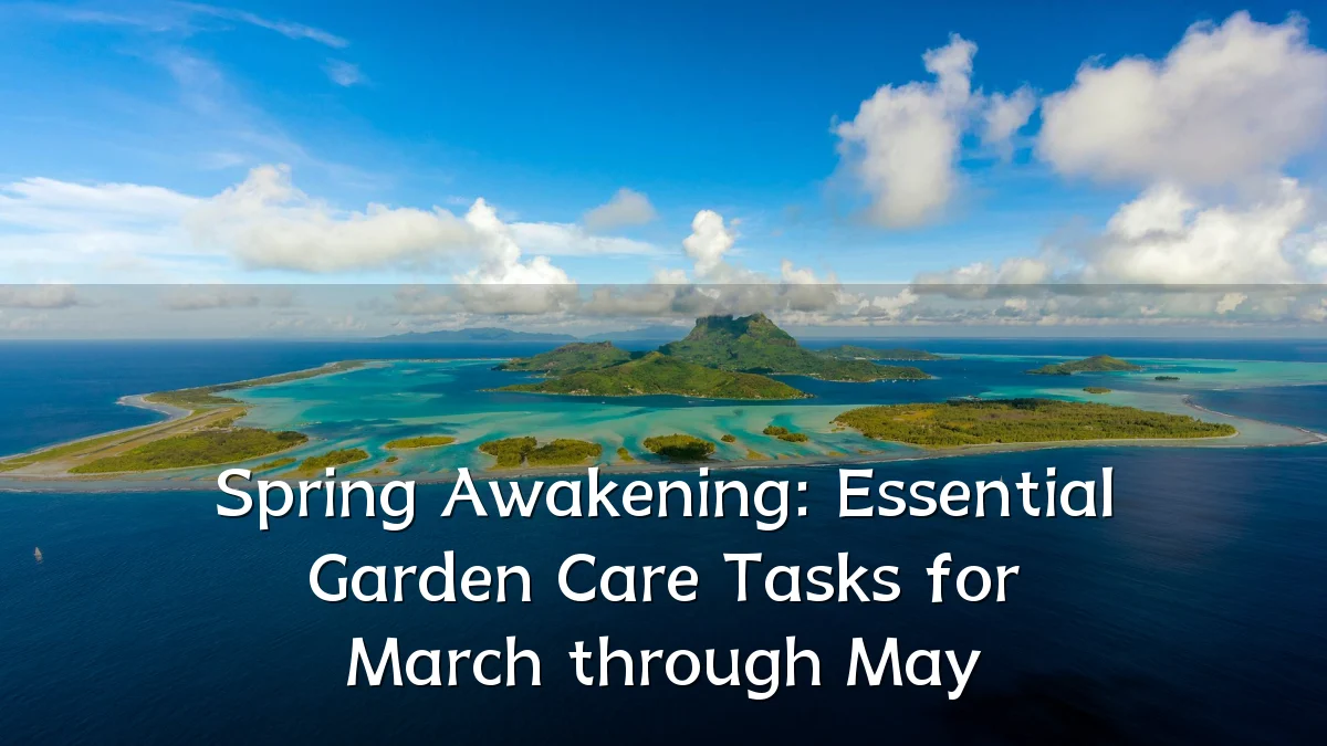Spring Awakening: Essential Garden Care Tasks for March through May