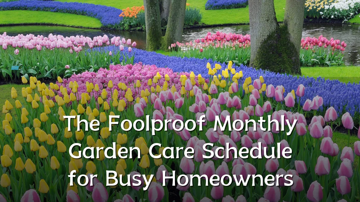 The Foolproof Monthly Garden Care Schedule for Busy Homeowners