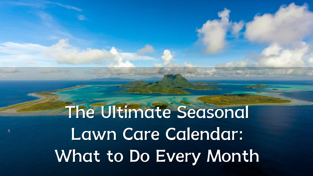 The Ultimate Seasonal Lawn Care Calendar: What to Do Every Month