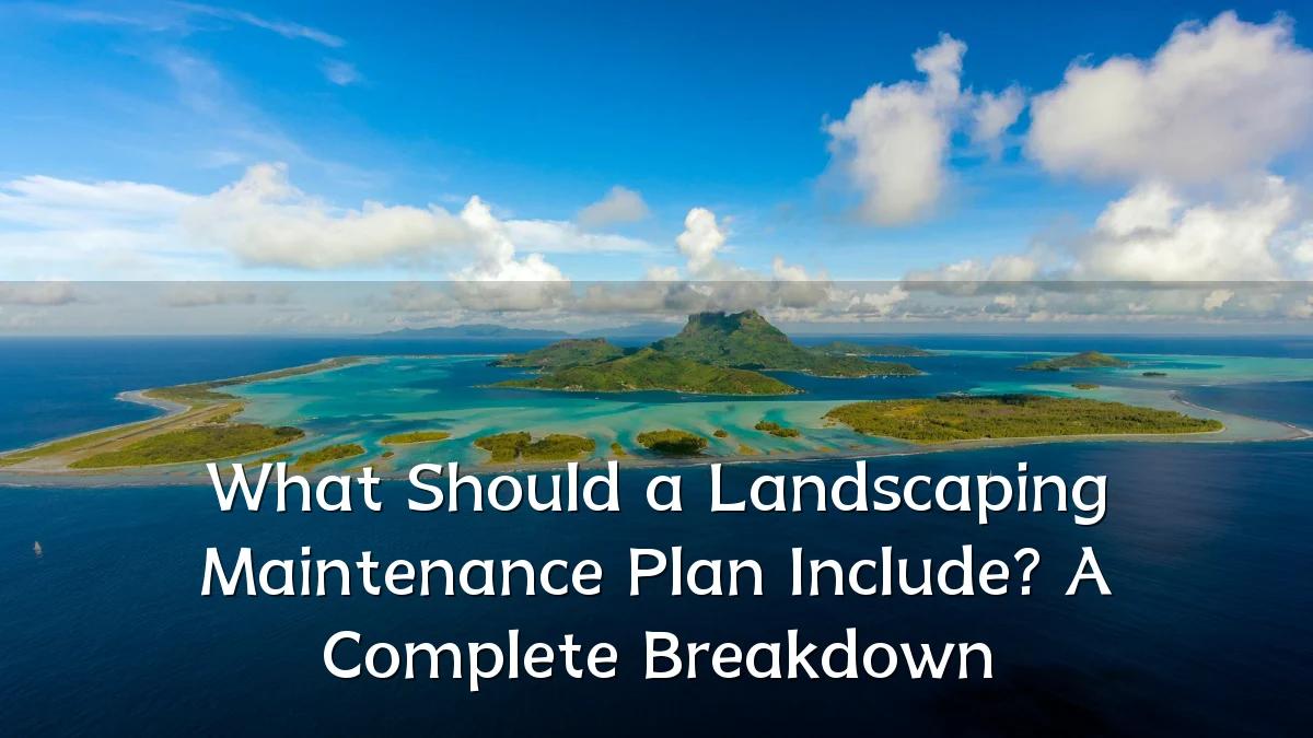 What Should a Landscaping Maintenance Plan Include? A Complete Breakdown